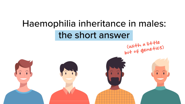 Haemophilia inheritance in males video